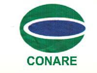 A Brighter Future: Journey to Empowerment with CONARE